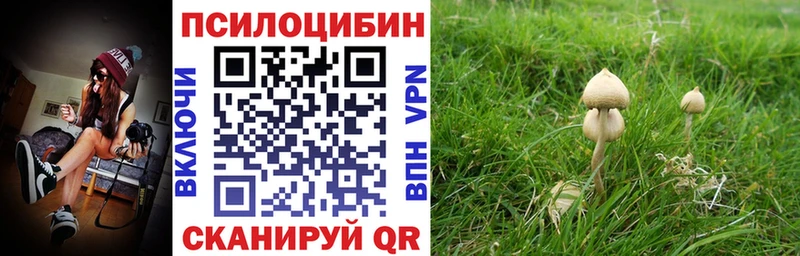Псилоцибиновые грибы GOLDEN TEACHER  даркнет сайт  площадка клад  Кунгур 