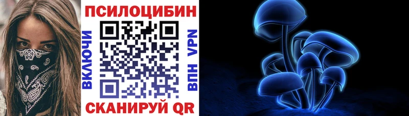 Псилоцибиновые грибы Cubensis Кунгур