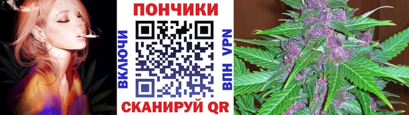 Шишки марихуана VHQ Кунгур
